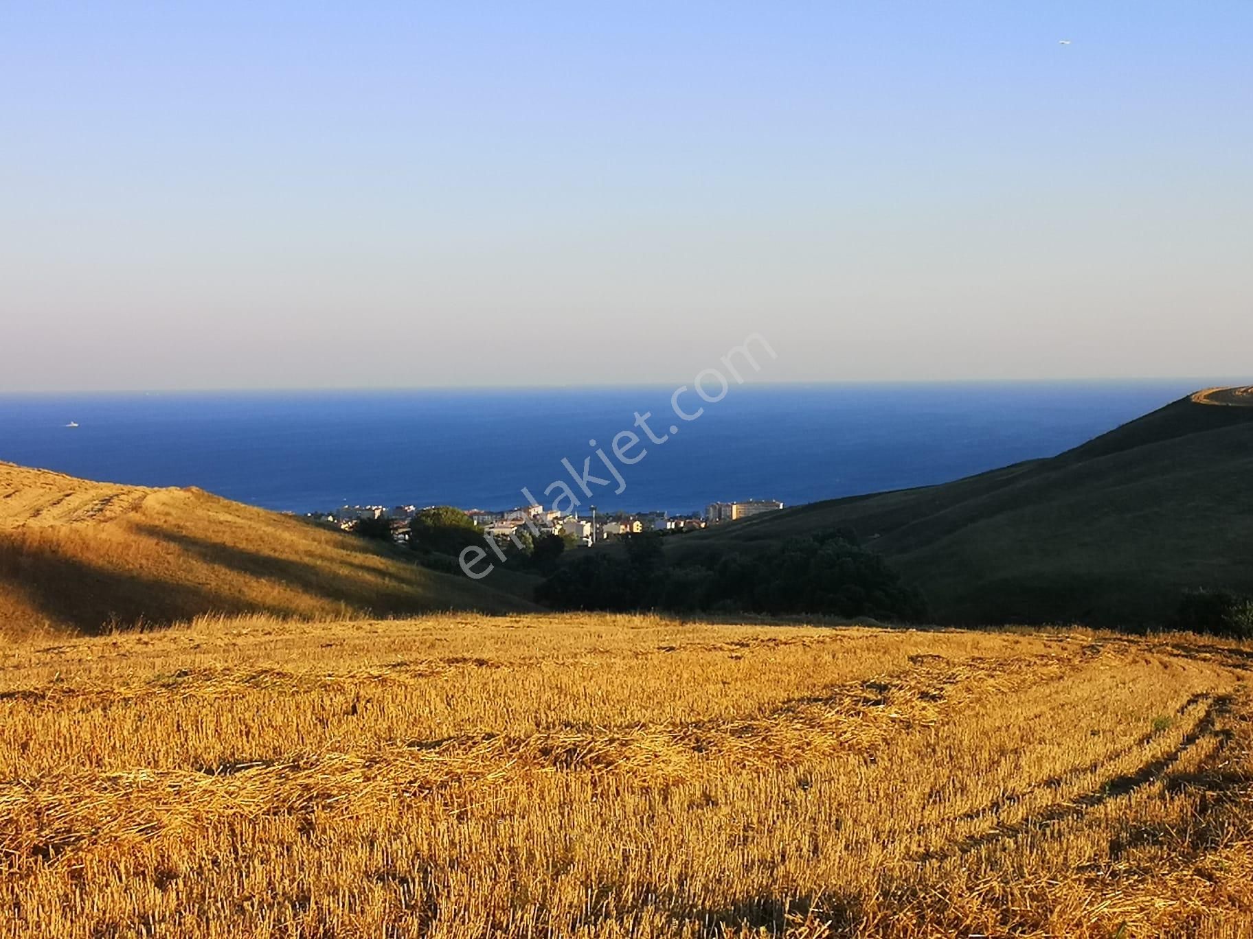 Büyükçekmece Kamiloba Satılık Tarla Kamiloba'da 4375 M2 Deniz Manzaralı Geleceği Parlak Arsa