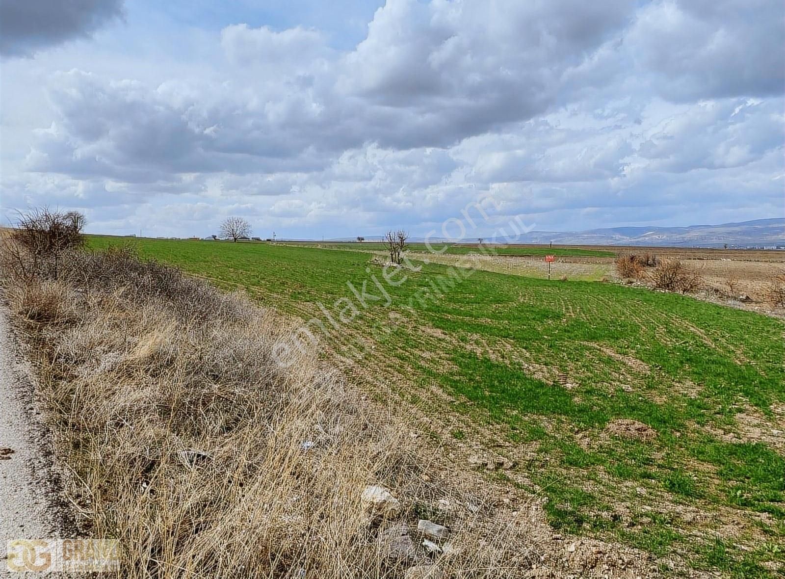 Kahramankazan Ahi Satılık Tarla Kahramankazan Ahi De Tek Ve Kök Tapu Satılık 3192m2