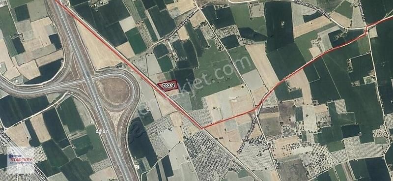 Kırkağaç Tevfikiye Satılık Tarla Manisa Kırkağaç Turşunlu Mevki 4062m² Satılık Tarla