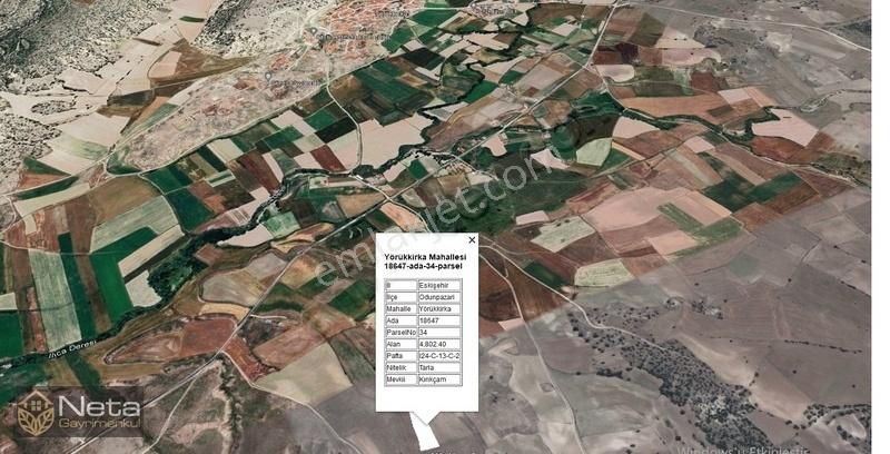 Odunpazarı Yürükkırka Satılık Tarla Neta'dan Yürük Kırka'da 19.881m² Muhtelif Tarlalar