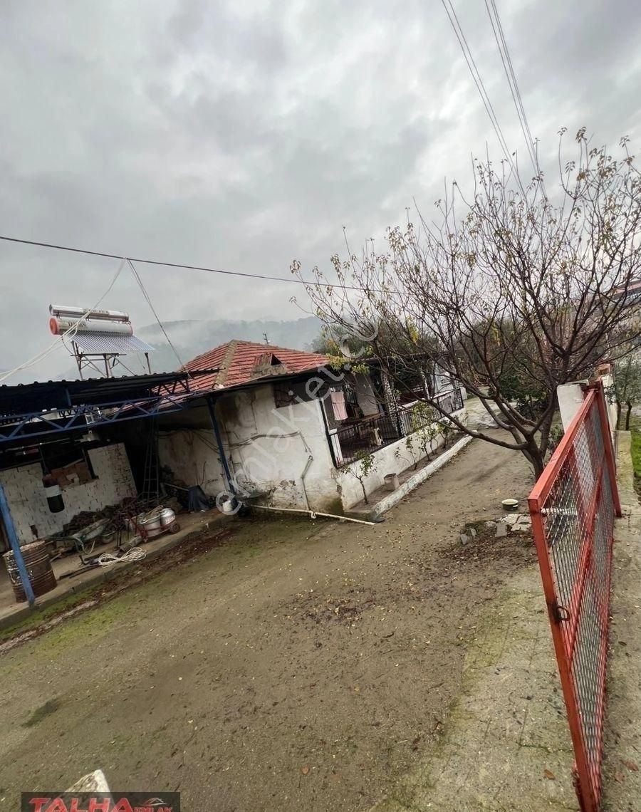 Kurtuluş Köyünde Harika Bahçeli Köy Evleri - Görsel 3