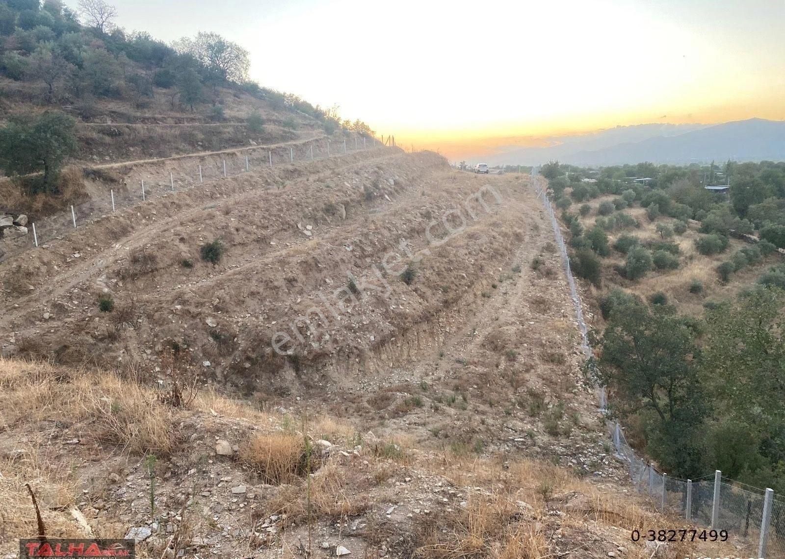 Yenipazar Donduran Satılık Tarla Yenipazar'da Satılık Kupon Arazi