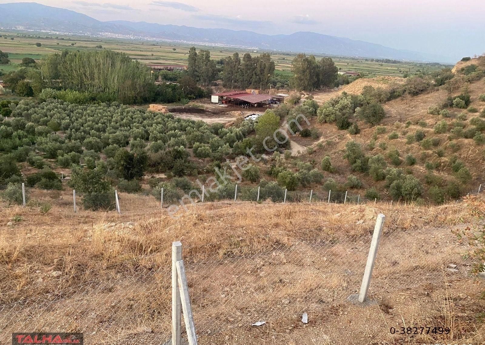 Yenipazar'da Satılık Kupon Arazi - Görsel 6
