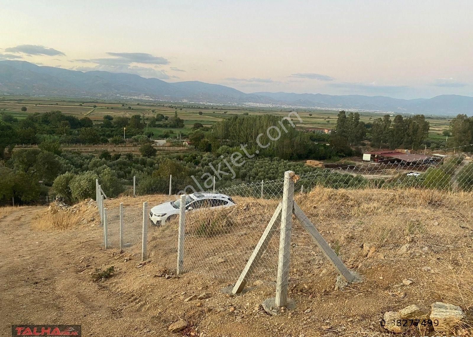 Yenipazar'da Satılık Kupon Arazi - Görsel 2