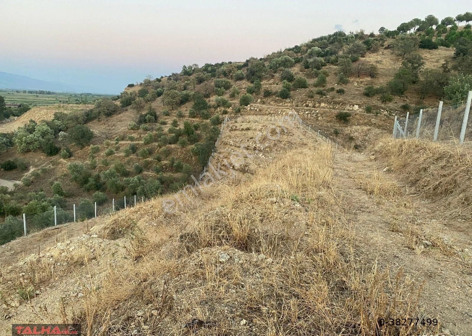Yenipazar'da Satılık Kupon Arazi - Görsel 5