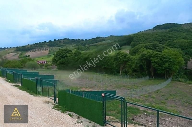 Mudanya Hançerli Satılık Tarla Hançerli Köyünde Köye Yakın Satılık Hobi Bahçesi