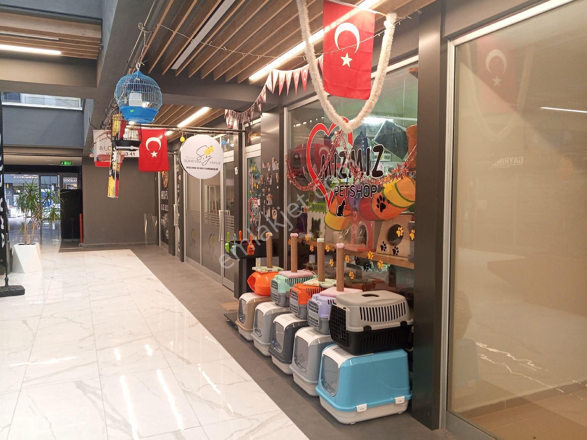 Körfez Mimar Sinan Kiralık Dükkan & Mağaza Devren Satılık Yüksek Cirolu Petshop