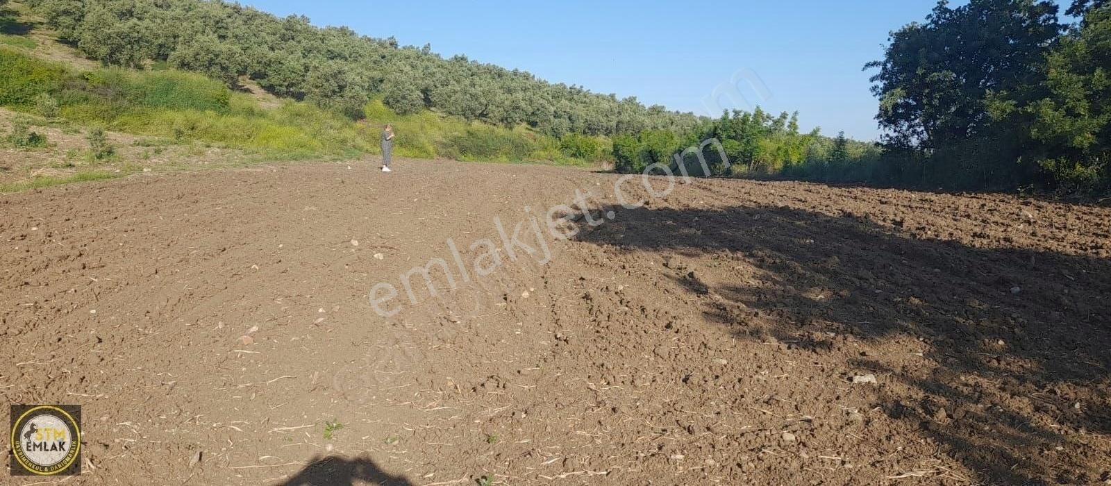 Gönen Havutça Satılık Bağ & Bahçe Bandırma Stm Emlak Tan Havutça Mh Satılık Bağ Yeri