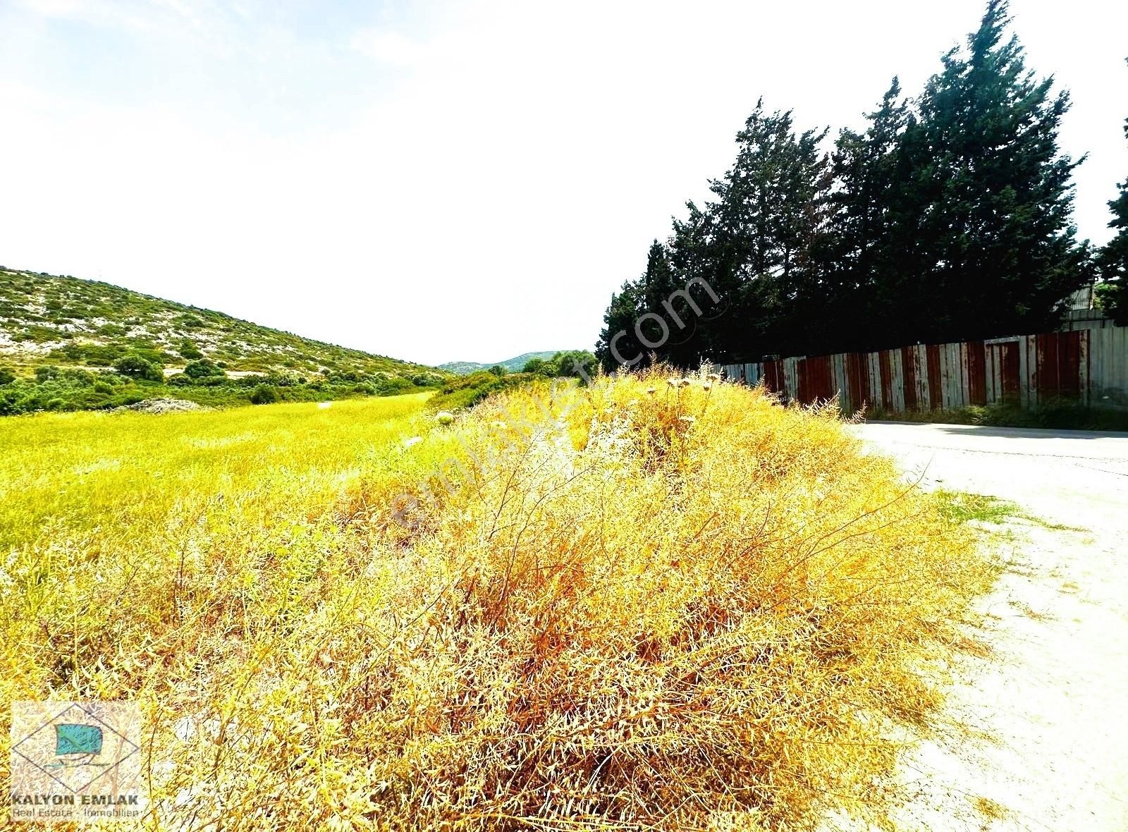 Çeşme Alaçatı Satılık Tarla Çeşme Alaçatı Ovacık Yol Üstü Yatırımlık Satılık Tarla