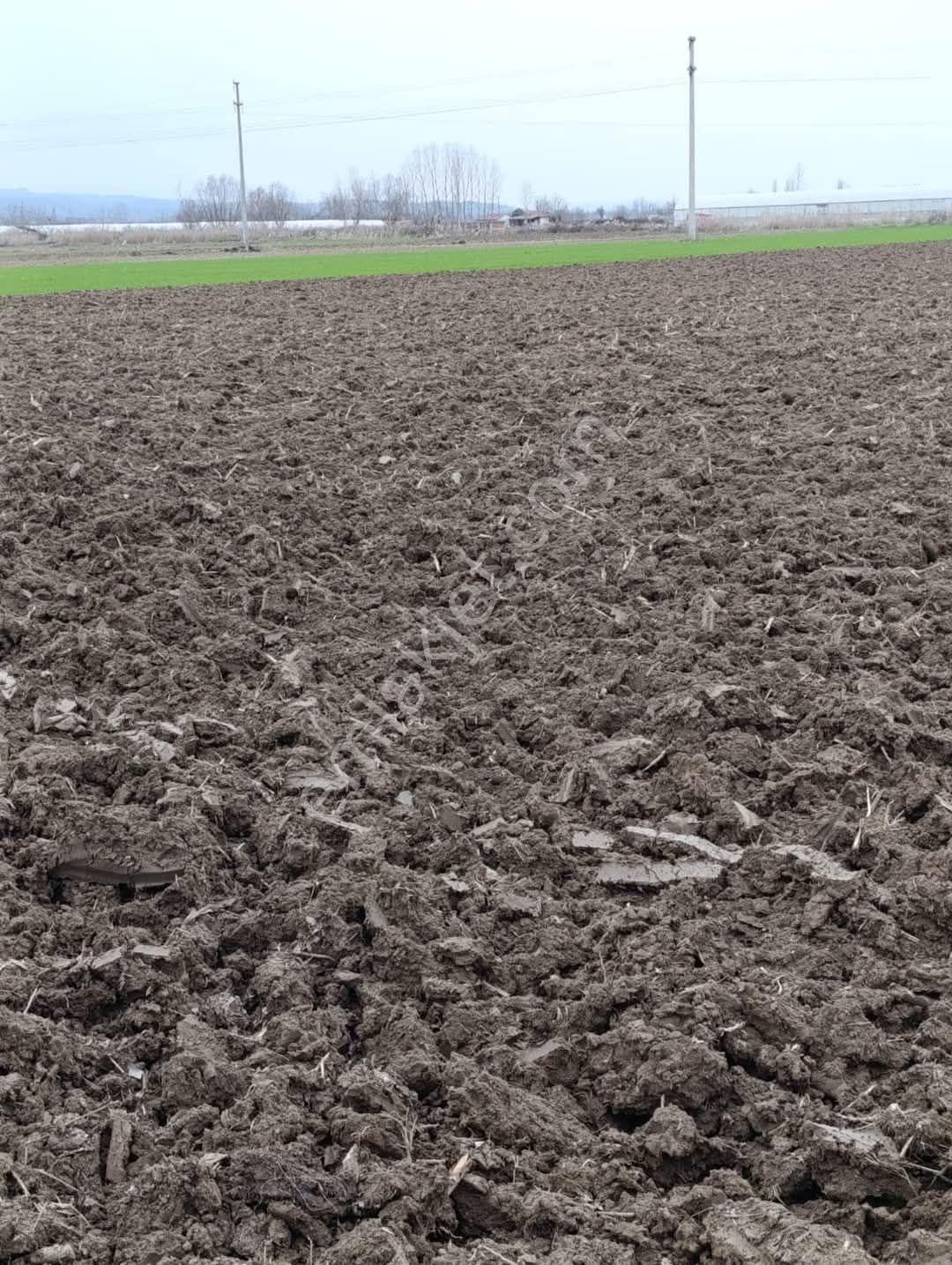 Tokat Erbaa Tosunlar Organize Yanı 15 Dönüm Arazi - Görsel 5