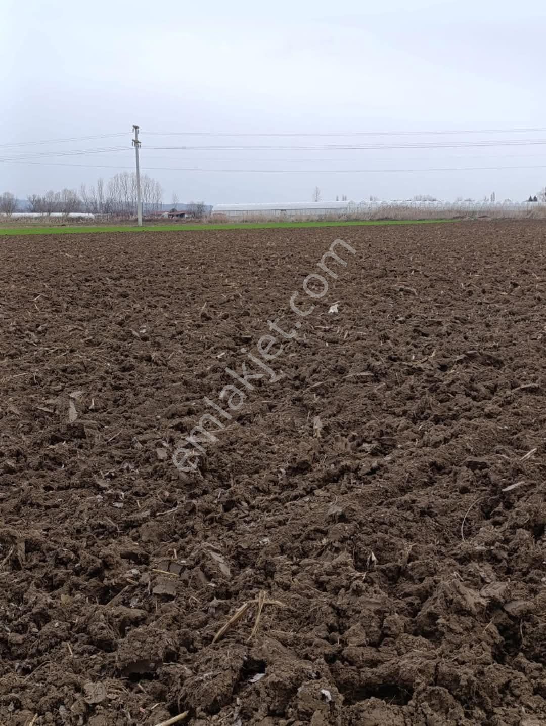 Tokat Erbaa Tosunlar Organize Yanı 15 Dönüm Arazi - Görsel 3