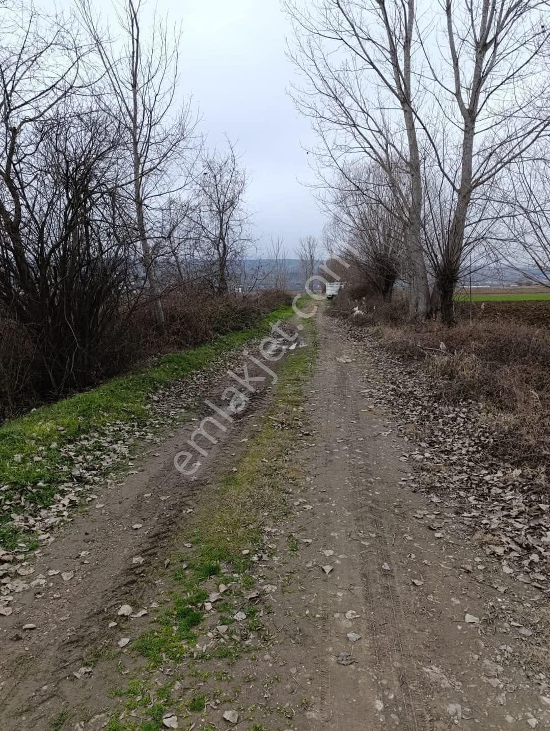 Tokat Erbaa Tosunlar Organize Yanı 15 Dönüm Arazi - Görsel 4