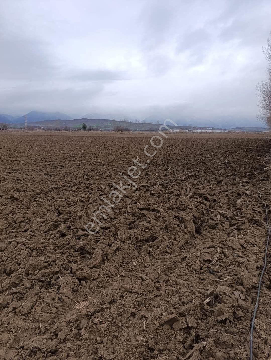 Tokat Erbaa Tosunlar Organize Yanı 15 Dönüm Arazi - Görsel 9