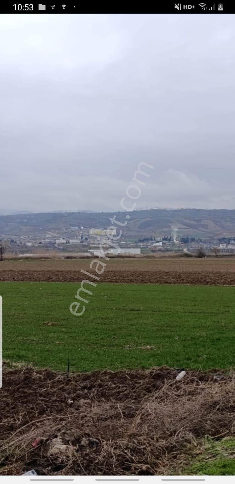 Tokat Erbaa Tosunlar Organize Yanı 15 Dönüm Arazi - Görsel 10