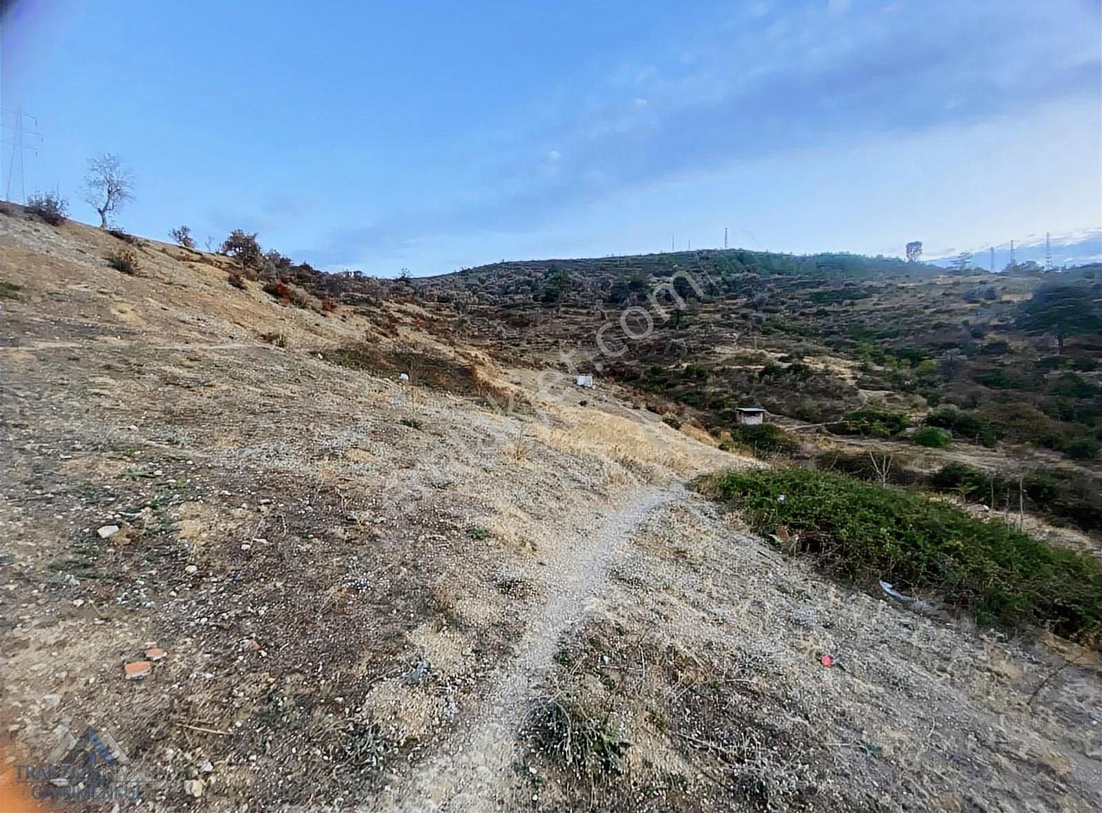 Bornova Merkez Satılık Zeytinlik İzmir Bornova'da Satılık Arsa