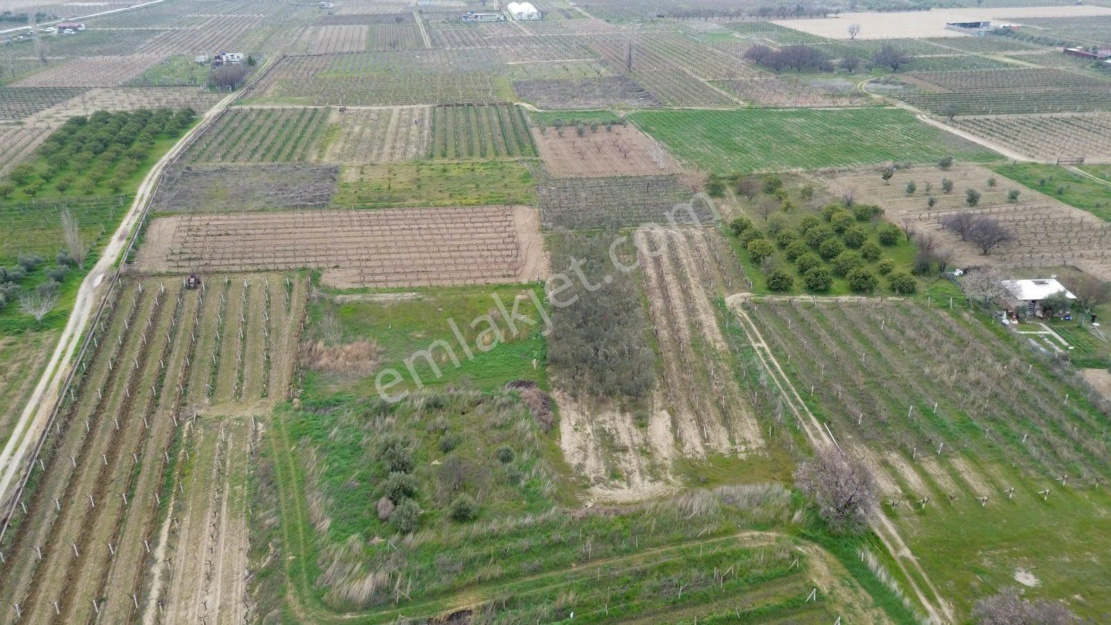 Menemen Belen Mahallesin'de Satılık Tek Tapu 1040 M2 - Görsel 4
