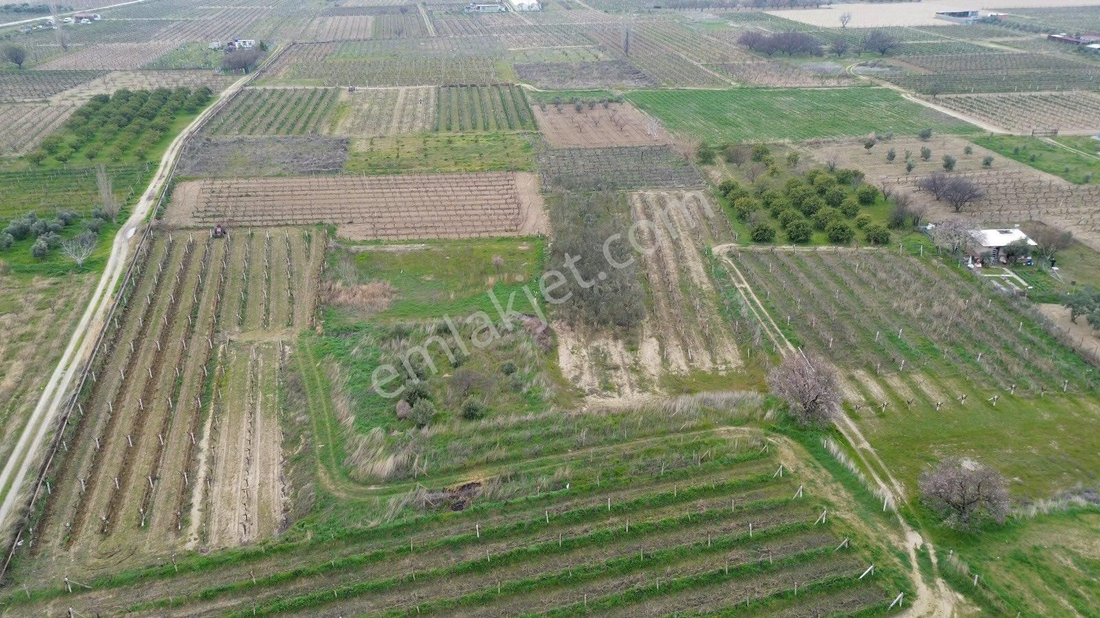 Menemen Belen Mahallesin'de Satılık Tek Tapu 1040 M2 - Görsel 2
