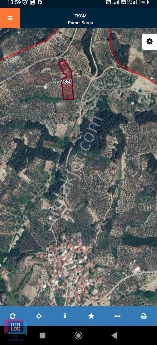 Satılık Mudanya Yörükali 6835m2 Zeytinlik Elektrik Su Mevcut Yol - Görsel 7