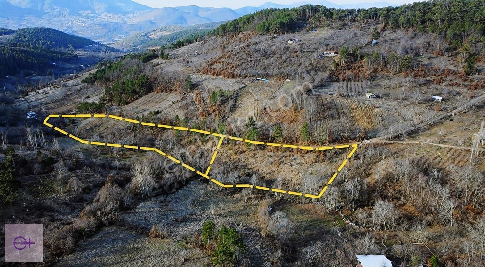 Osmangazi Küçükdeliller Satılık Tarla Violetten Satılık Tarla Küçükdeliller Osmangazi Bursa