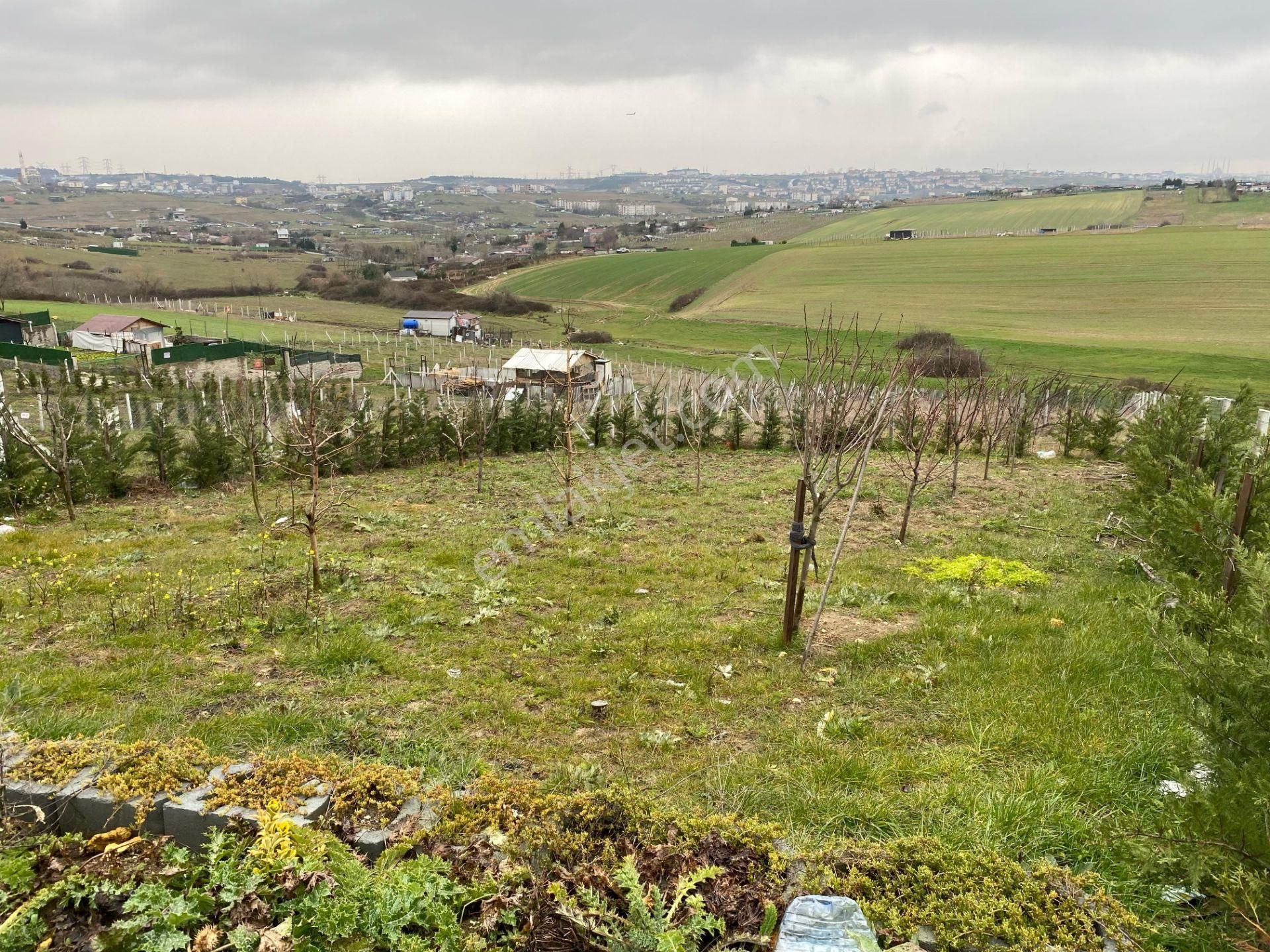 Çilingir De Araç Daire Takaslı Satılık Arsa - Görsel 8