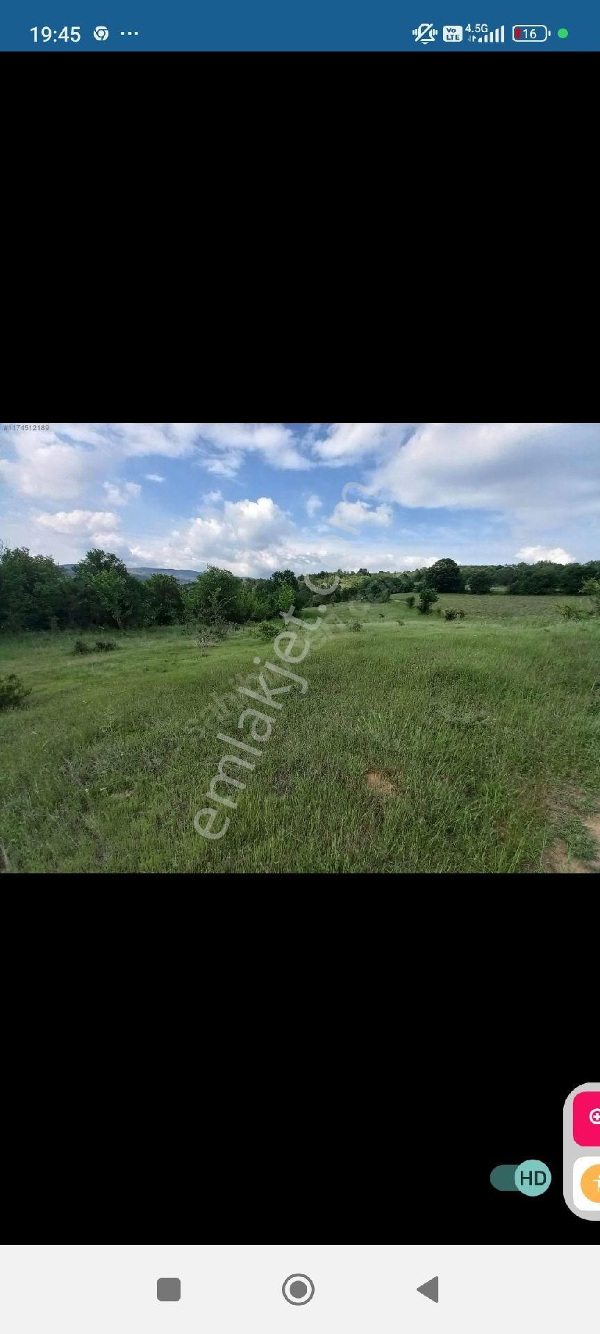 Gölpazarı Kümbet Köyü Satılık Tarla Bilecik Gölpazarı Kümbet Köyü