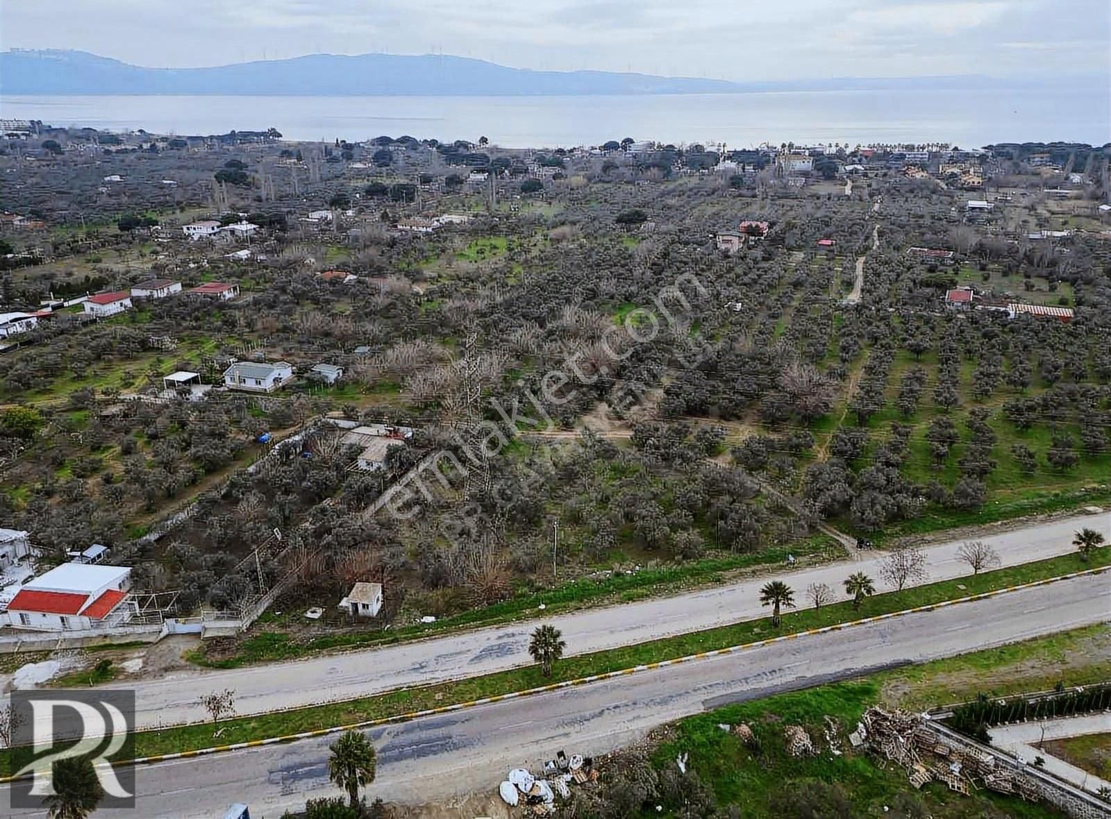 Erdek Yalı Satılık Zeytinlik P&r Gayrimenkul'den Yalı Mahallesinde Satılık Zeytinlik