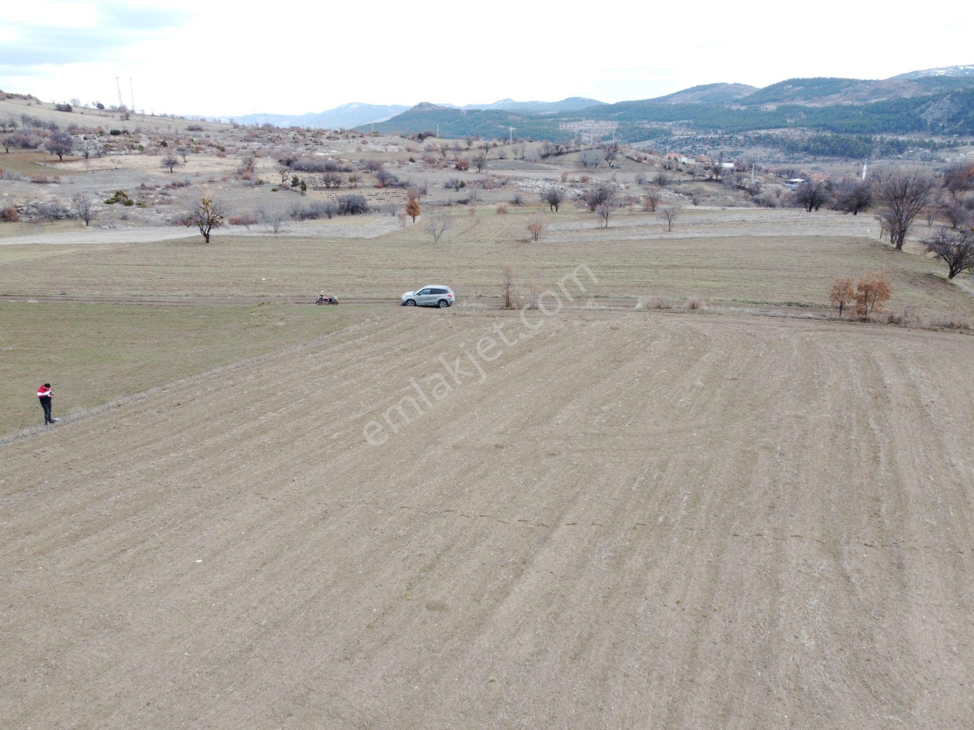 Denizli Çardak Söğüt De 1660m2 Tek Tapu Tarla Köy Yanı - Görsel 15