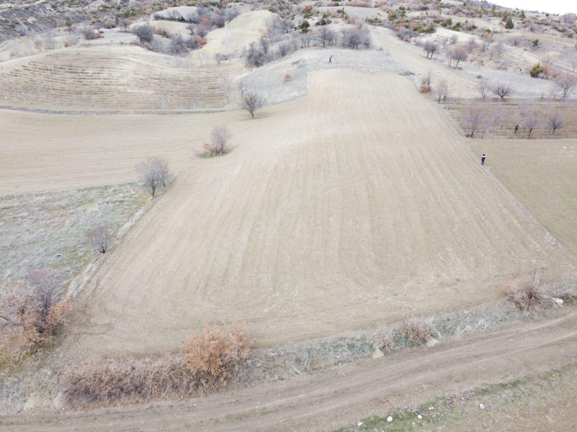 Denizli Çardak Söğüt De 1660m2 Tek Tapu Tarla Köy Yanı - Görsel 9