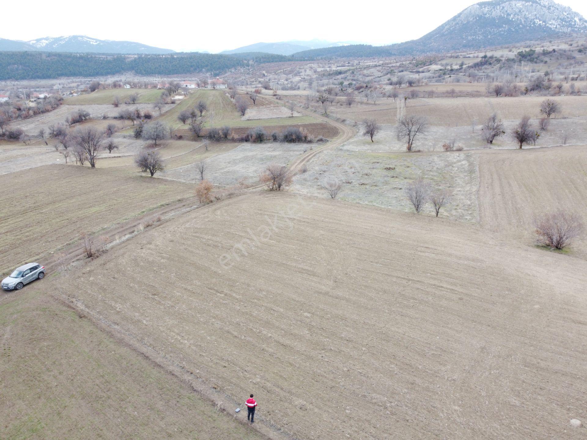 Denizli Çardak Söğüt De 1660m2 Tek Tapu Tarla Köy Yanı - Görsel 6