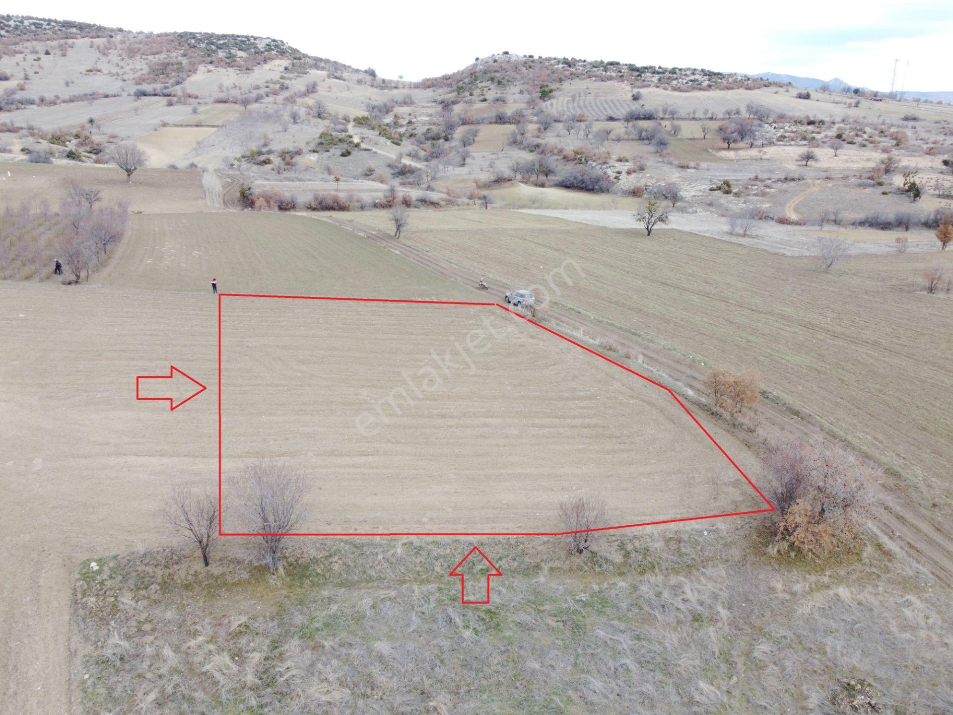 Denizli Çardak Söğüt De 1660m2 Tek Tapu Tarla Köy Yanı - Görsel 3