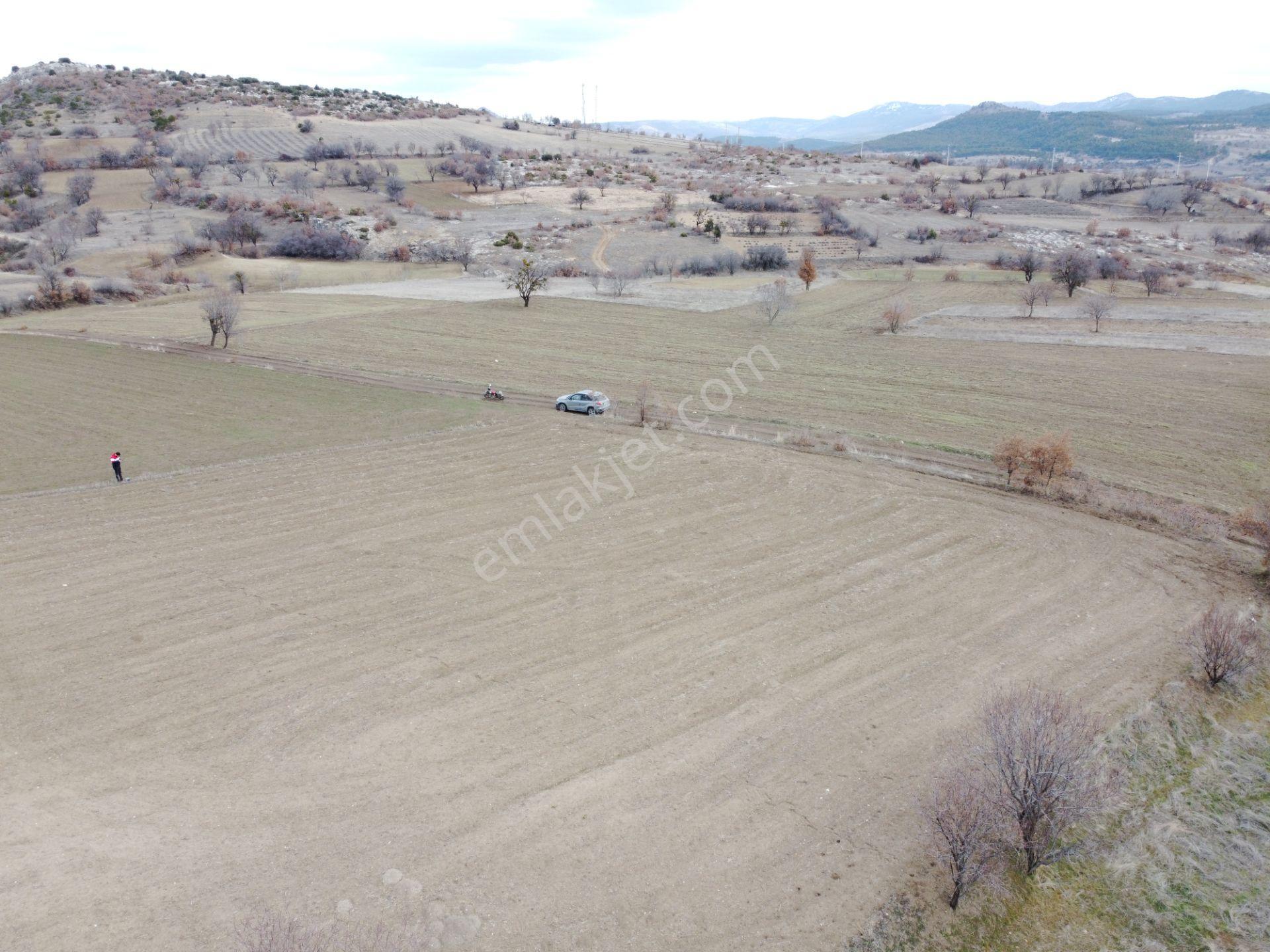 Denizli Çardak Söğüt De 1660m2 Tek Tapu Tarla Köy Yanı - Görsel 20