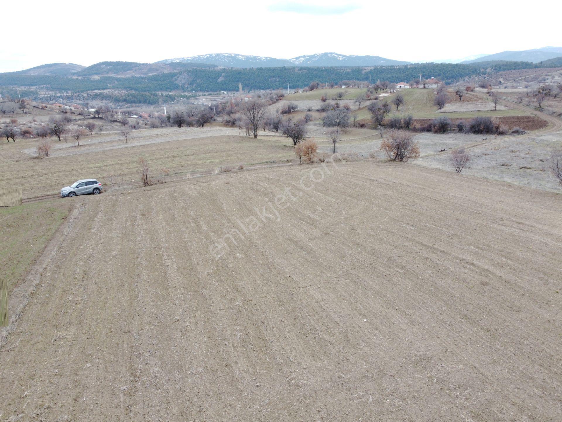 Denizli Çardak Söğüt De 1660m2 Tek Tapu Tarla Köy Yanı - Görsel 17