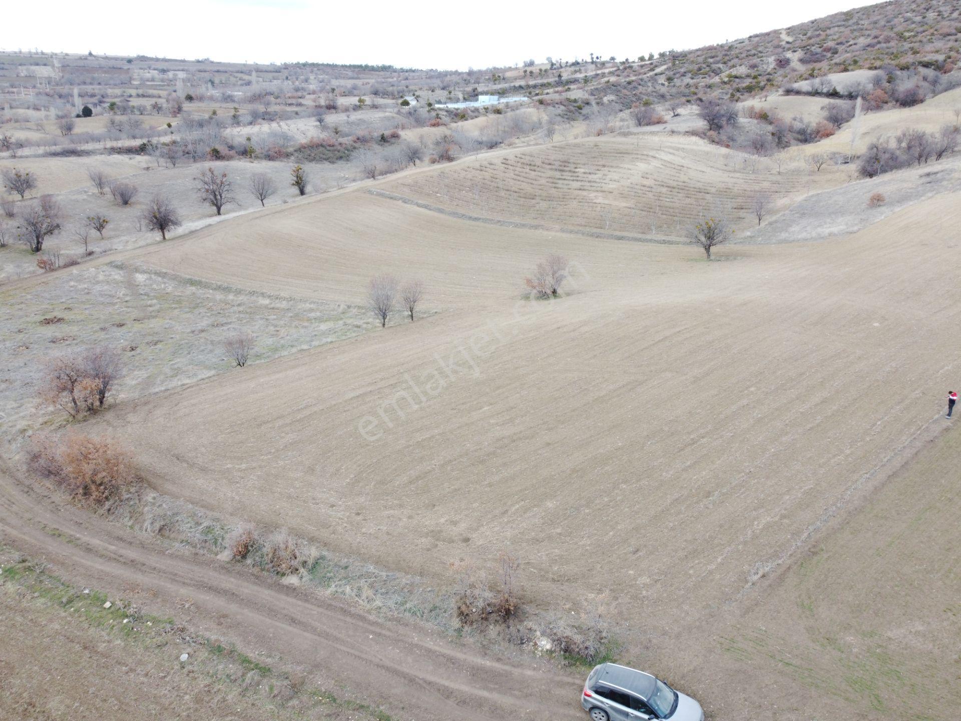 Denizli Çardak Söğüt De 1660m2 Tek Tapu Tarla Köy Yanı - Görsel 7