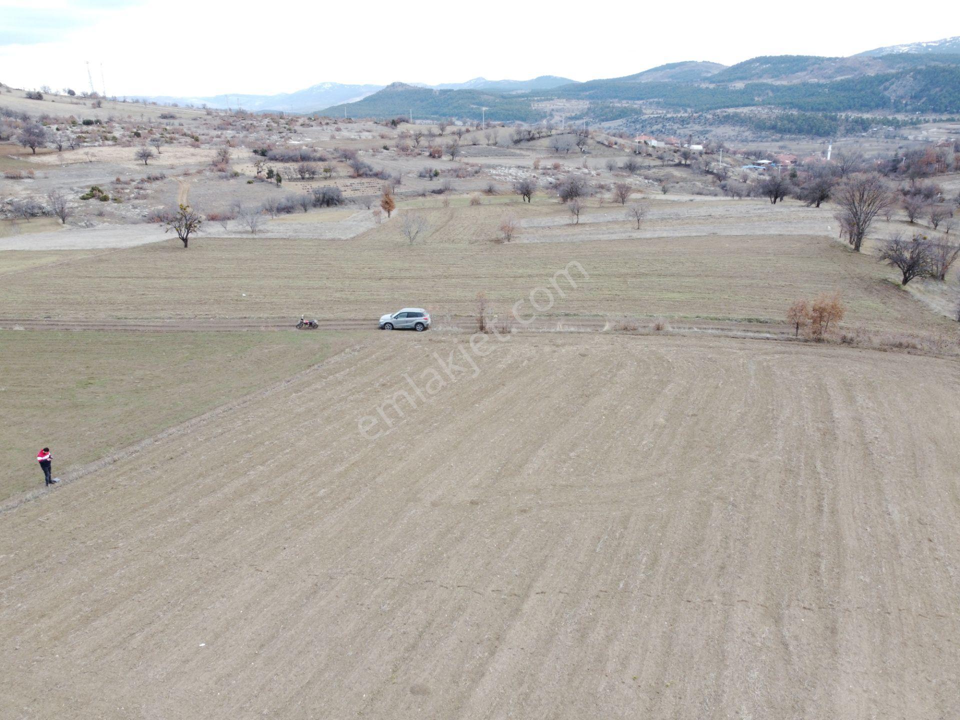Denizli Çardak Söğüt De 1660m2 Tek Tapu Tarla Köy Yanı - Görsel 19