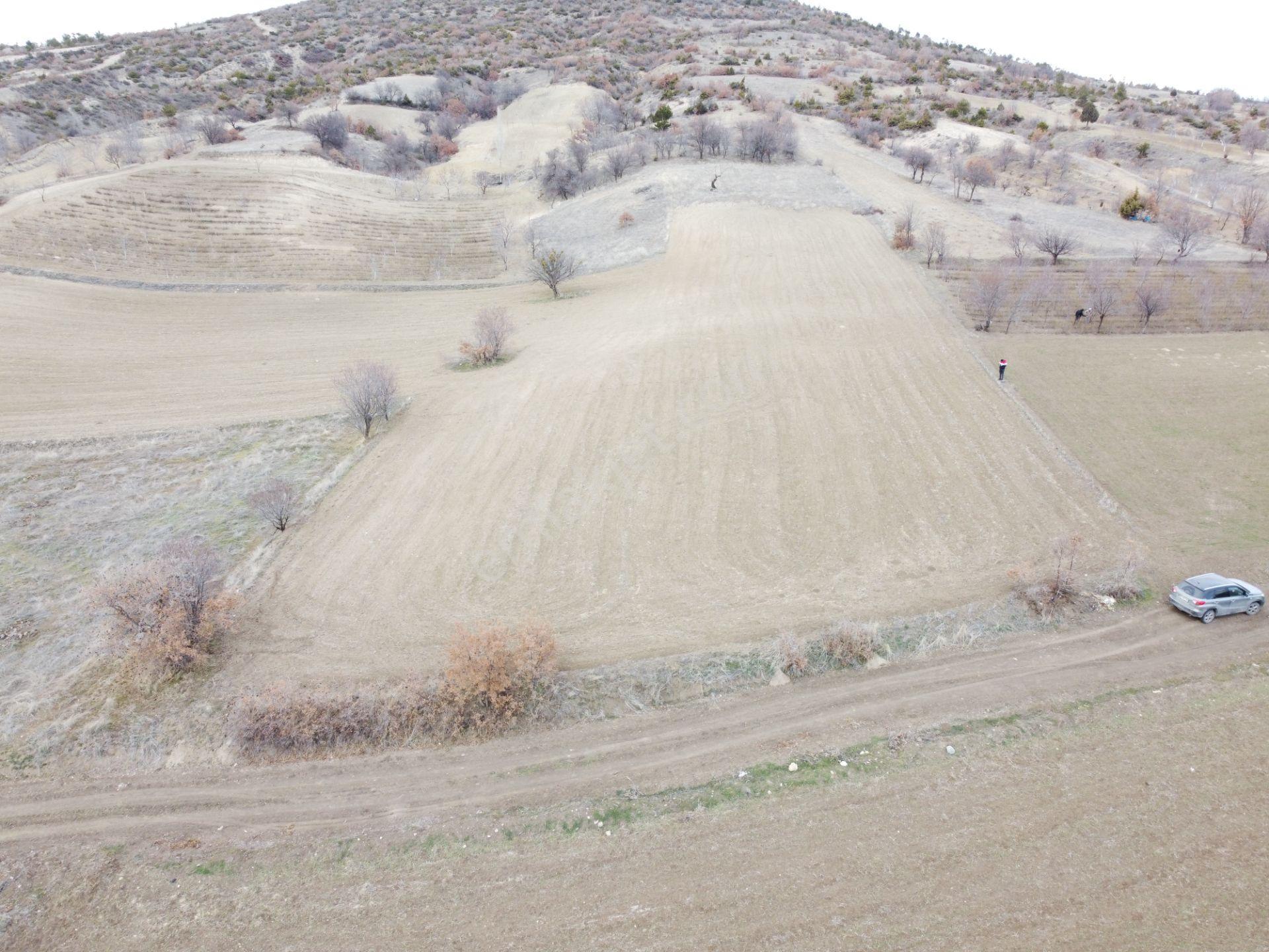 Denizli Çardak Söğüt De 1660m2 Tek Tapu Tarla Köy Yanı - Görsel 12