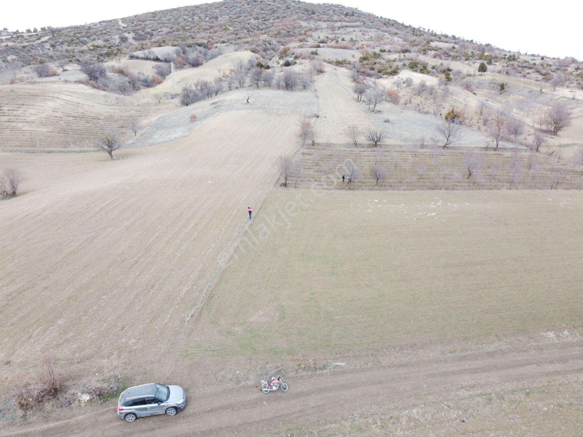 Denizli Çardak Söğüt De 1660m2 Tek Tapu Tarla Köy Yanı - Görsel 8