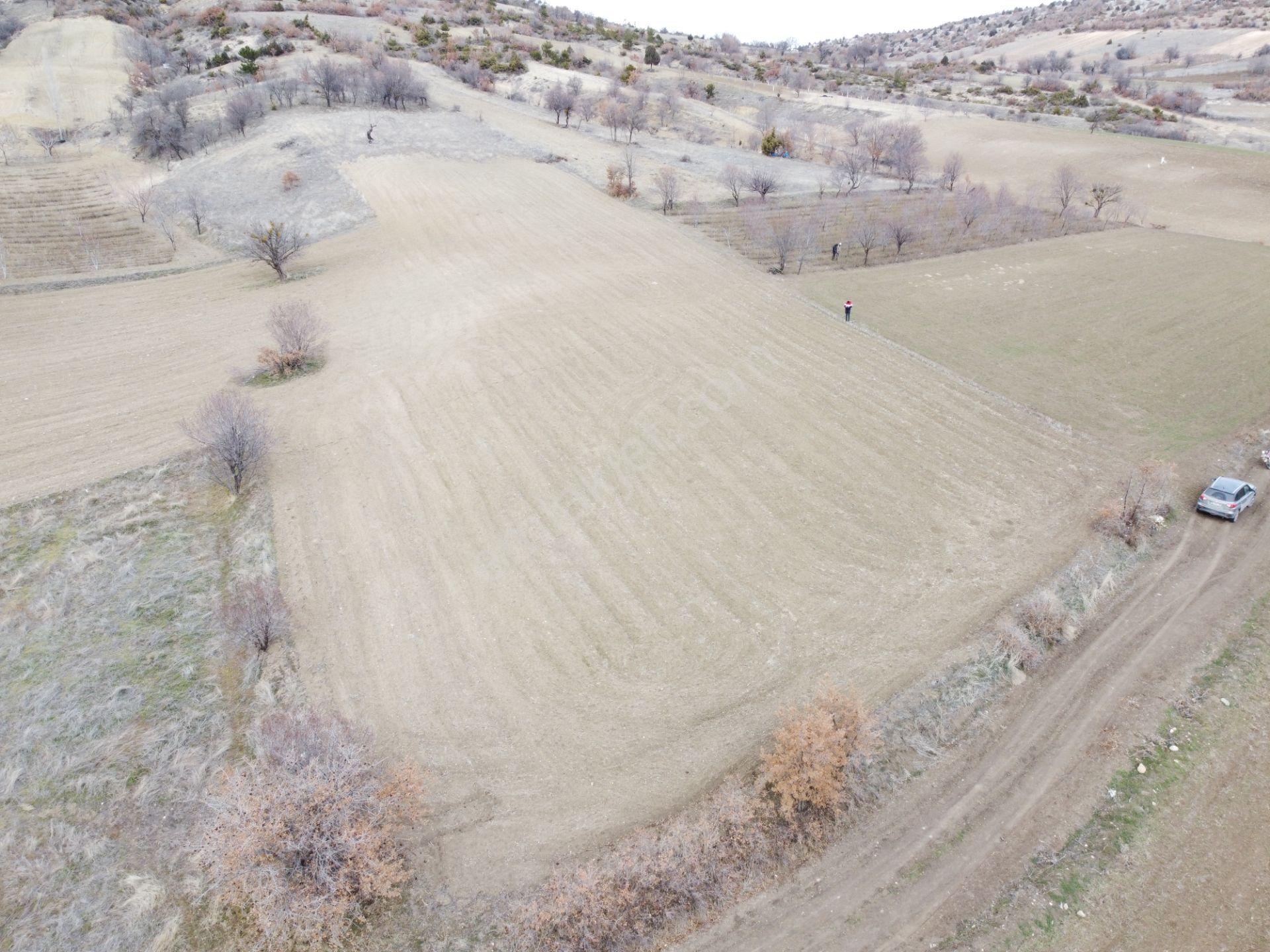 Denizli Çardak Söğüt De 1660m2 Tek Tapu Tarla Köy Yanı - Görsel 10