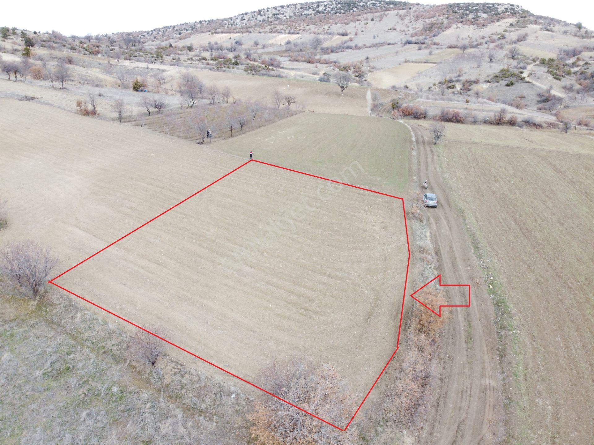 Denizli Çardak Söğüt De 1660m2 Tek Tapu Tarla Köy Yanı - Görsel 2