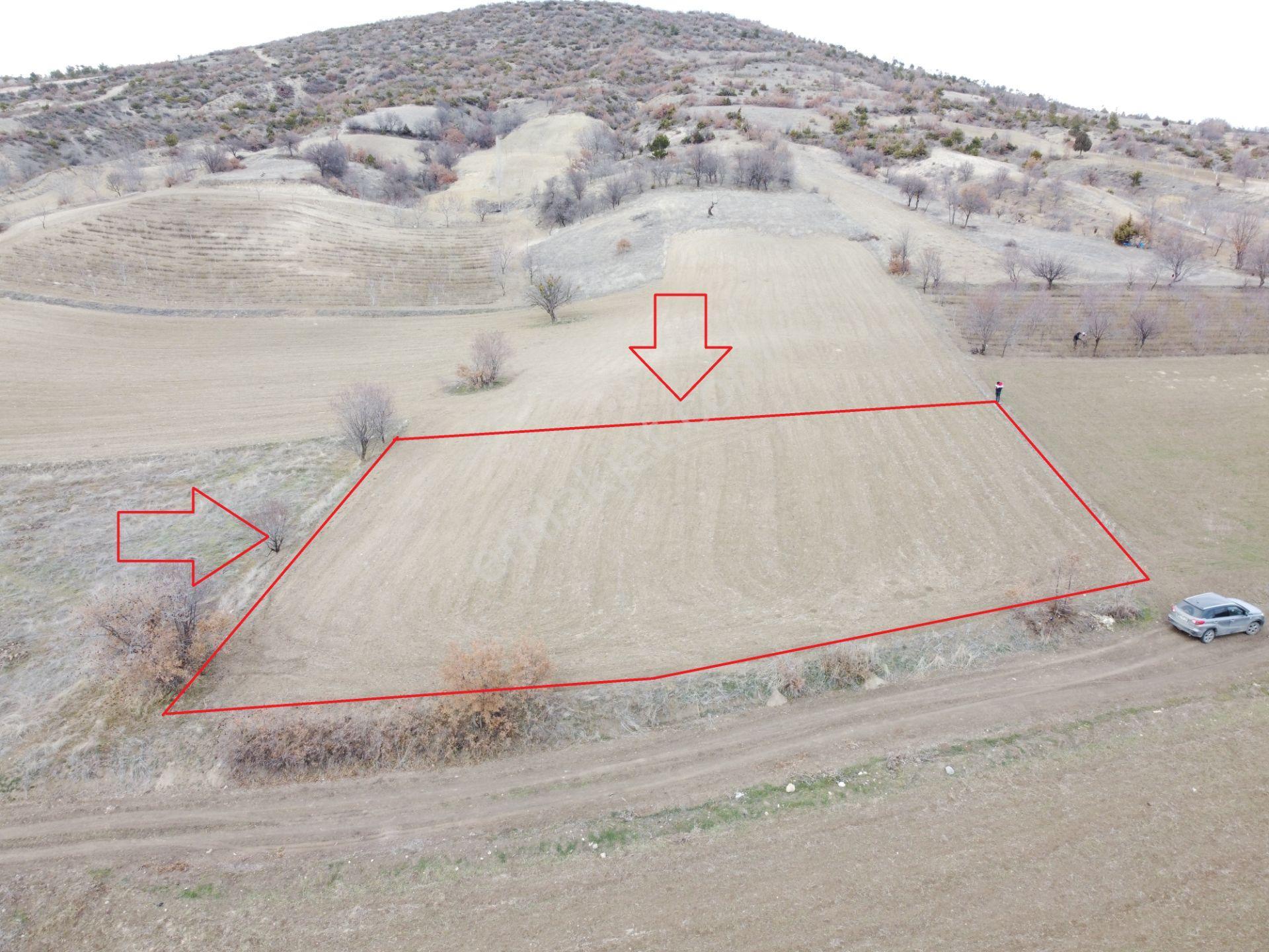 Denizli Çardak Söğüt De 1660m2 Tek Tapu Tarla Köy Yanı - Görsel 4