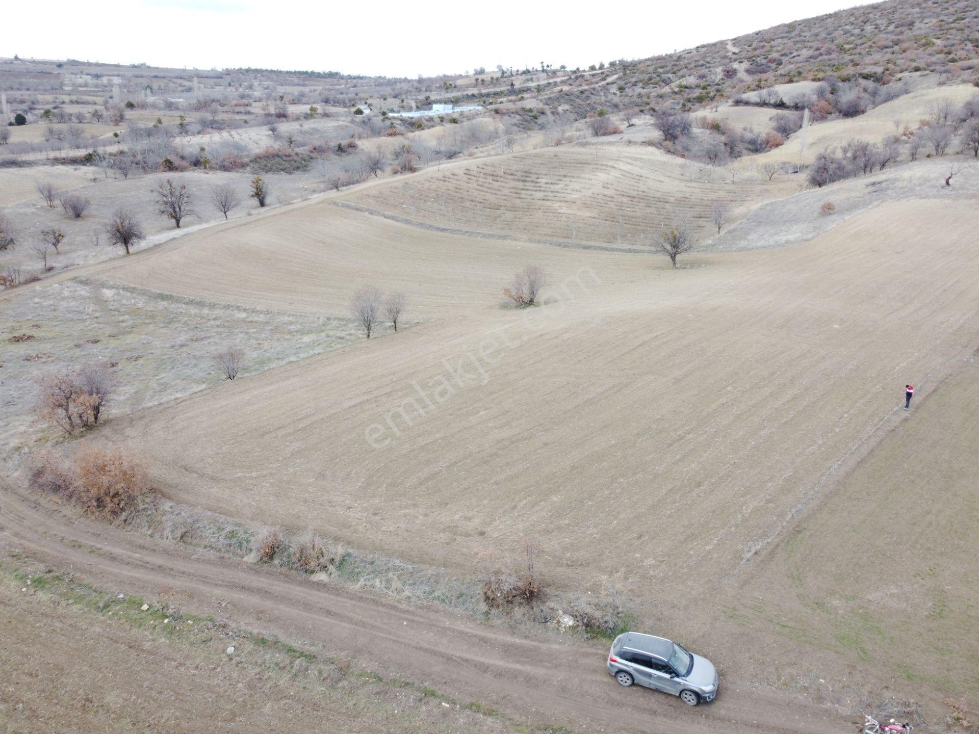Denizli Çardak Söğüt De 1660m2 Tek Tapu Tarla Köy Yanı - Görsel 11
