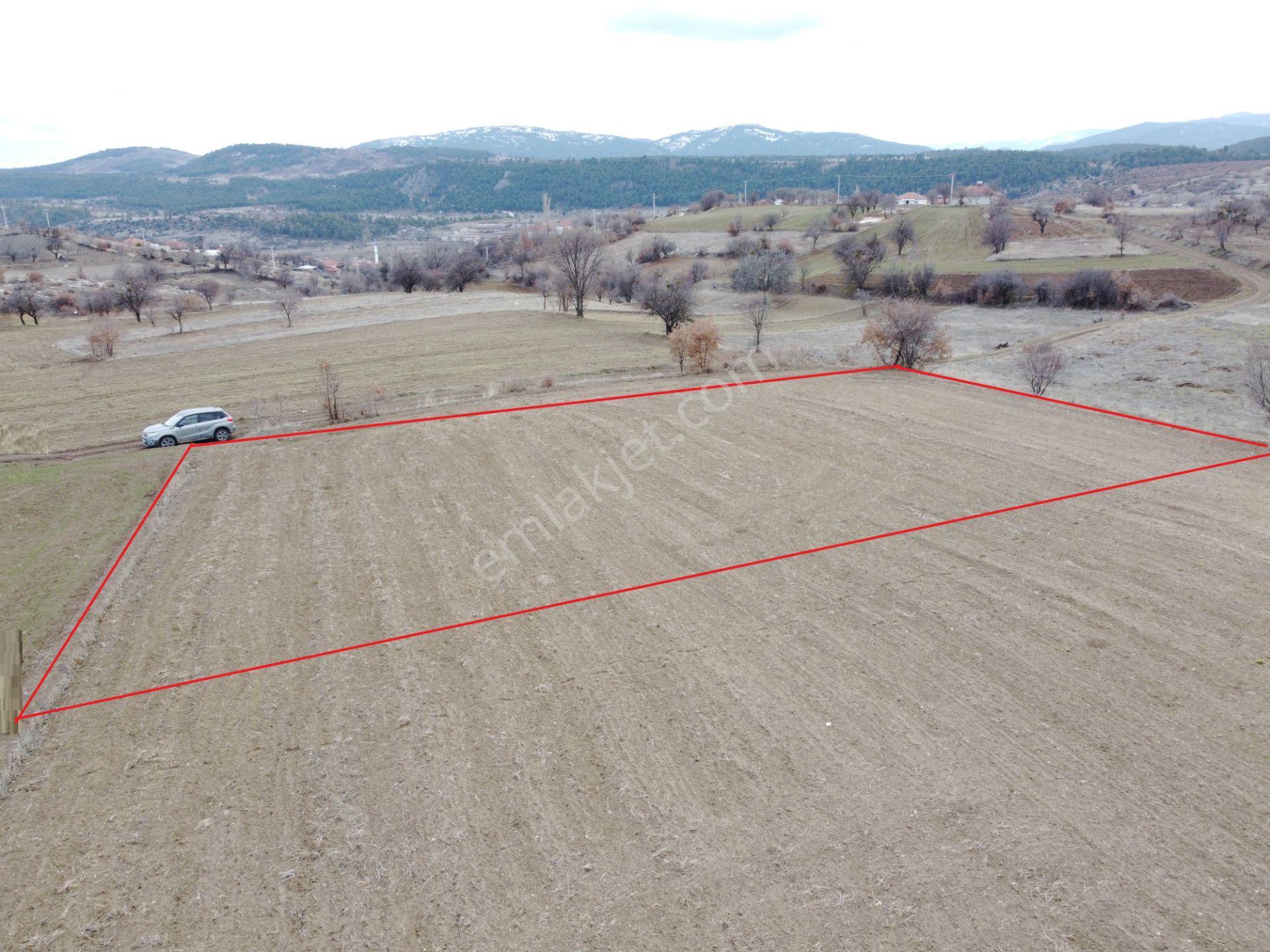 Denizli Çardak Söğüt De 1660m2 Tek Tapu Tarla Köy Yanı - Görsel 5