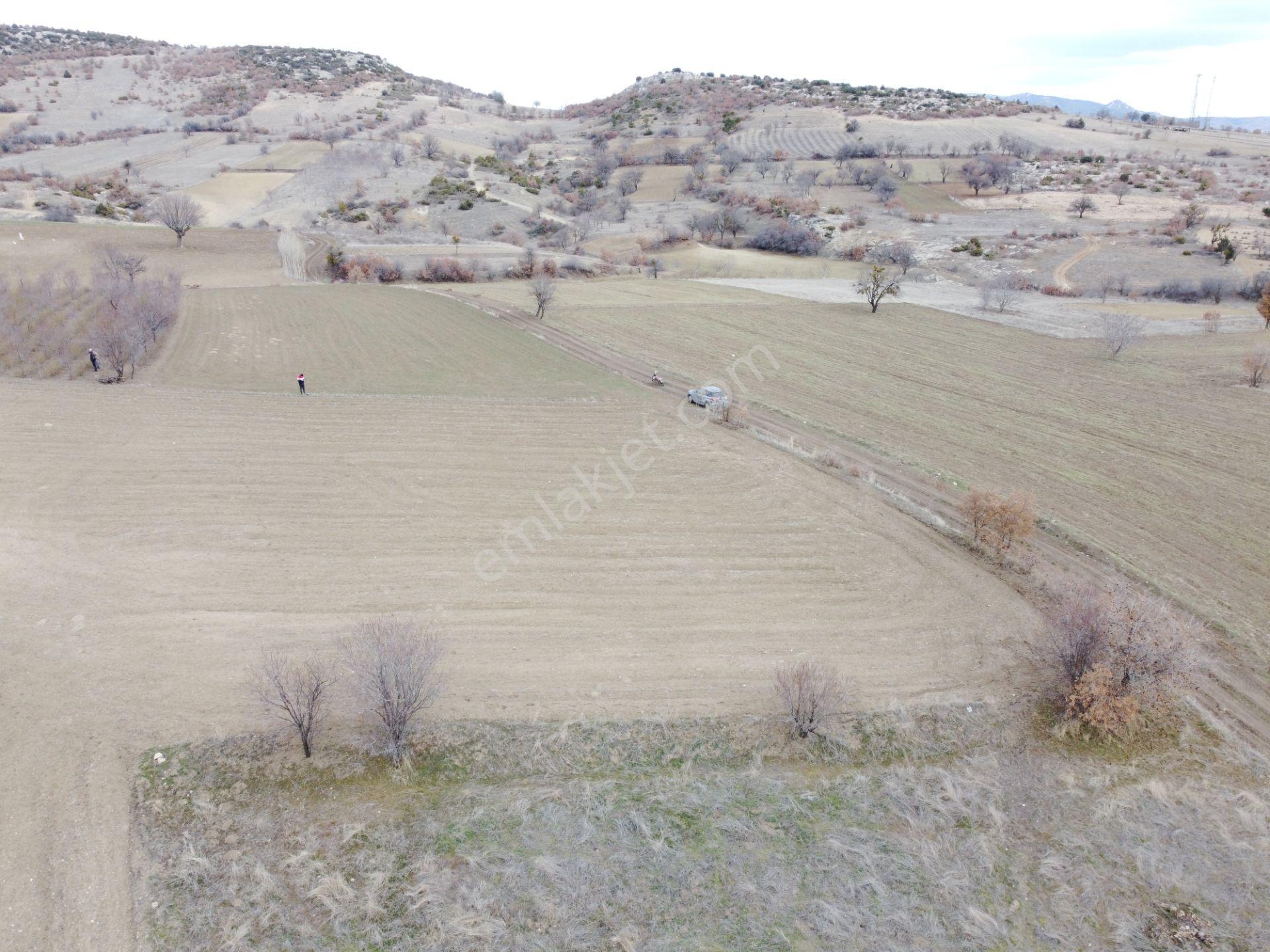 Denizli Çardak Söğüt De 1660m2 Tek Tapu Tarla Köy Yanı - Görsel 14