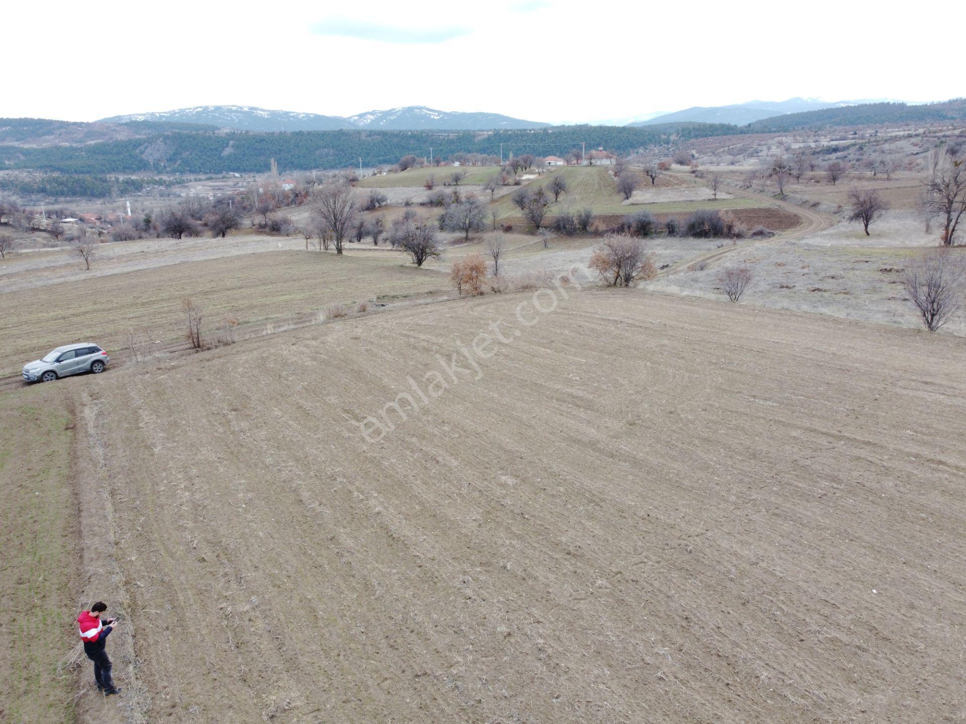 Denizli Çardak Söğüt De 1660m2 Tek Tapu Tarla Köy Yanı - Görsel 16