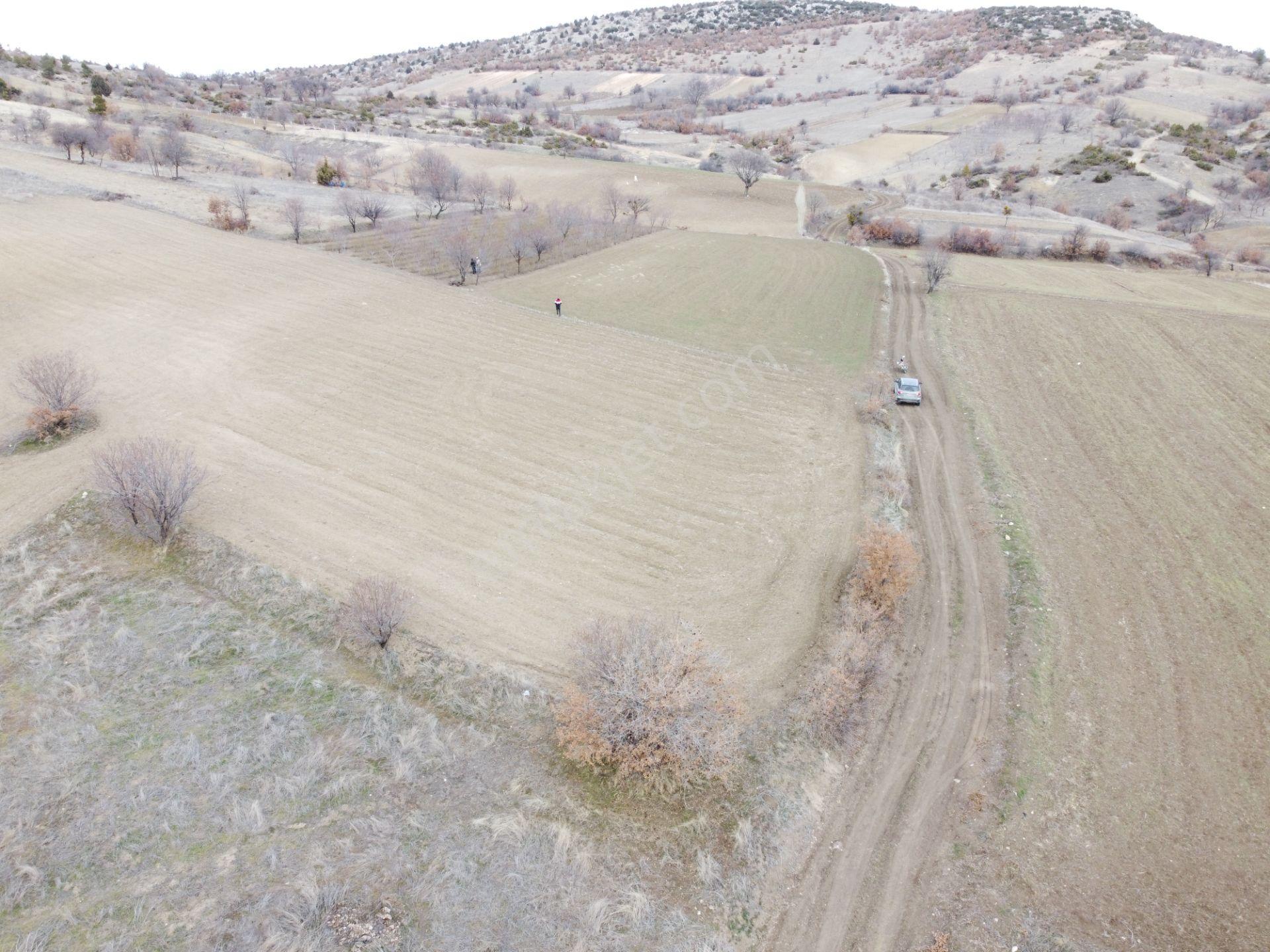 Denizli Çardak Söğüt De 1660m2 Tek Tapu Tarla Köy Yanı - Görsel 13