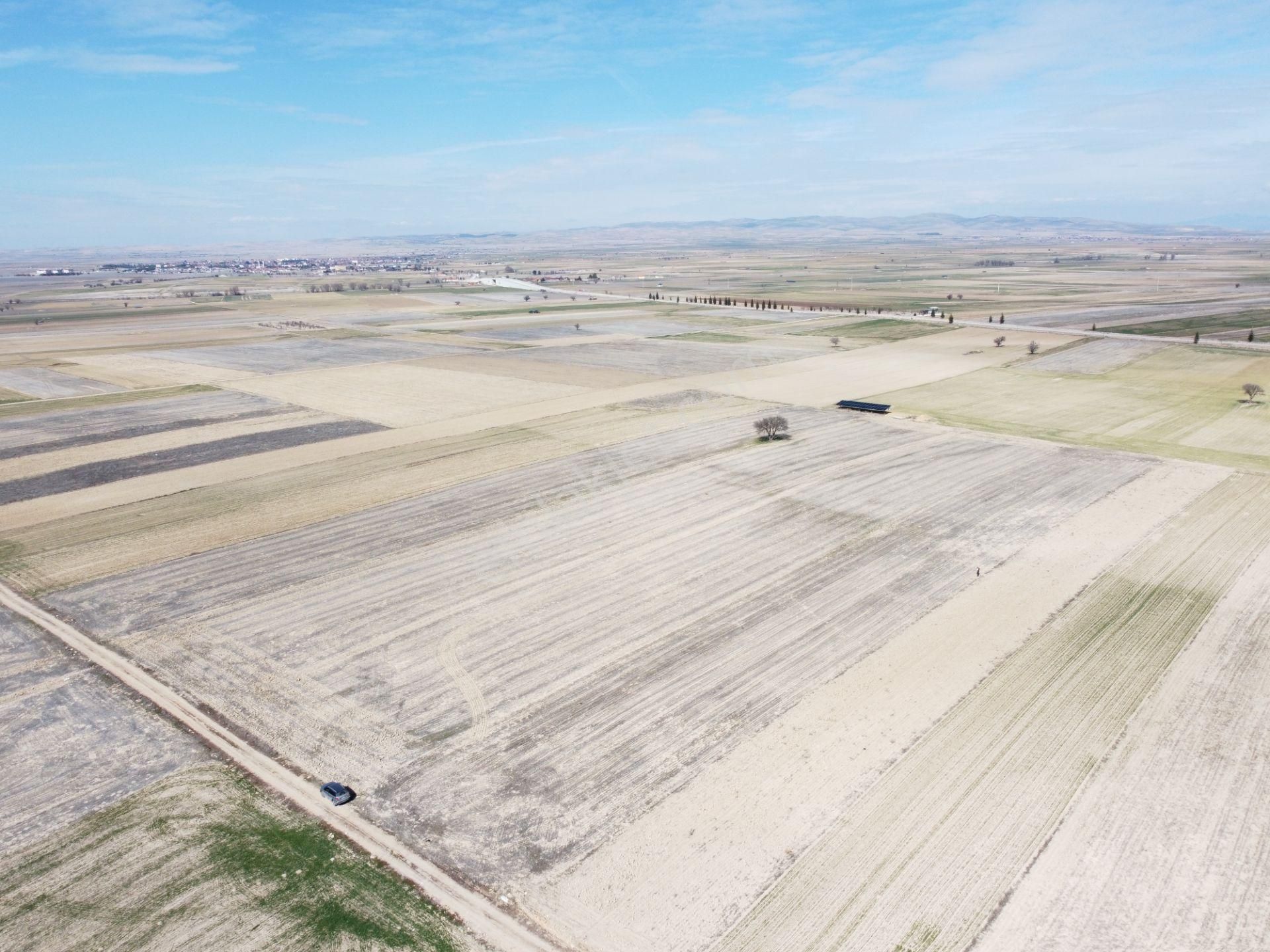Afyonkarahisar Evciler Gökçek Köy Yakını 6461m2 Tek Tapu Tarla - Görsel 20