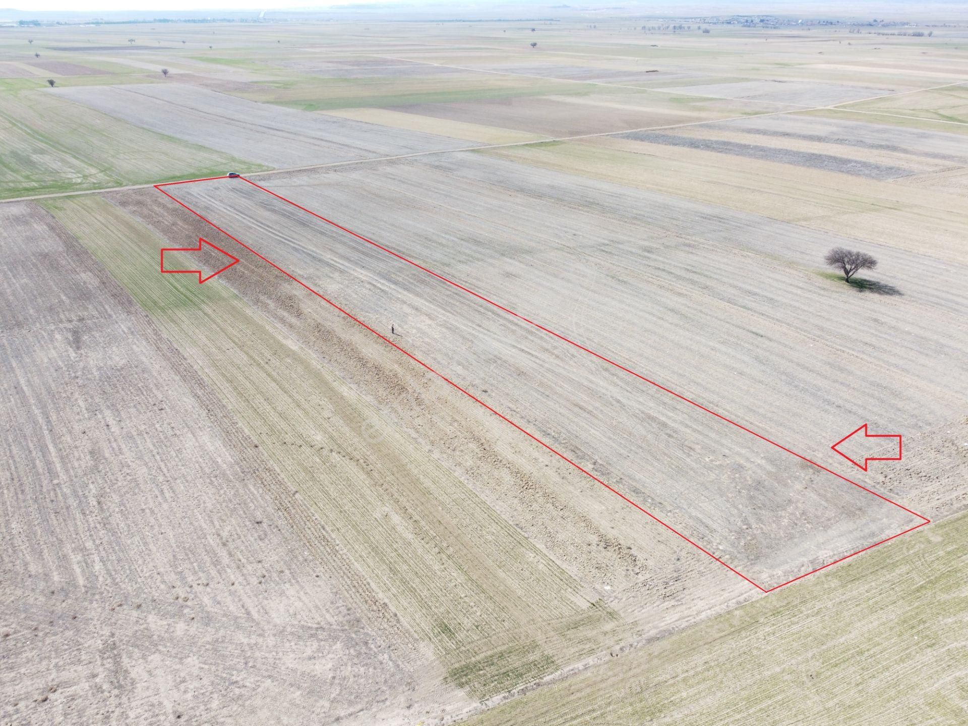 Afyonkarahisar Evciler Gökçek Köy Yakını 6461m2 Tek Tapu Tarla - Görsel 9