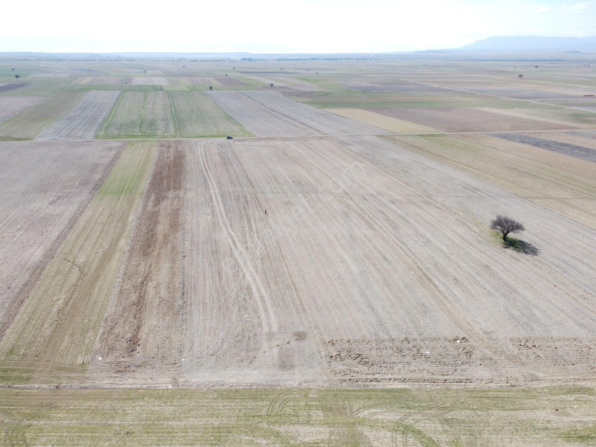 Afyonkarahisar Evciler Gökçek Köy Yakını 6461m2 Tek Tapu Tarla - Görsel 6