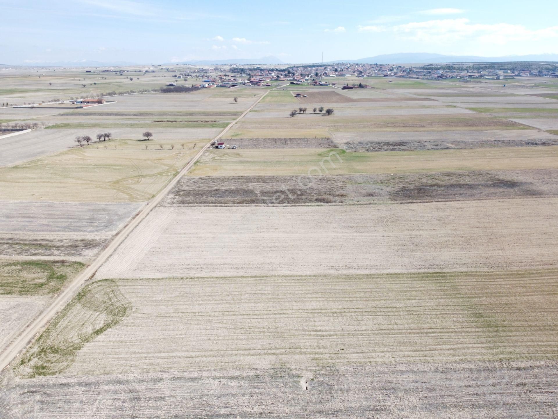 Afyonkarahisar Evciler Gökçek Köy Yakını 6461m2 Tek Tapu Tarla - Görsel 28