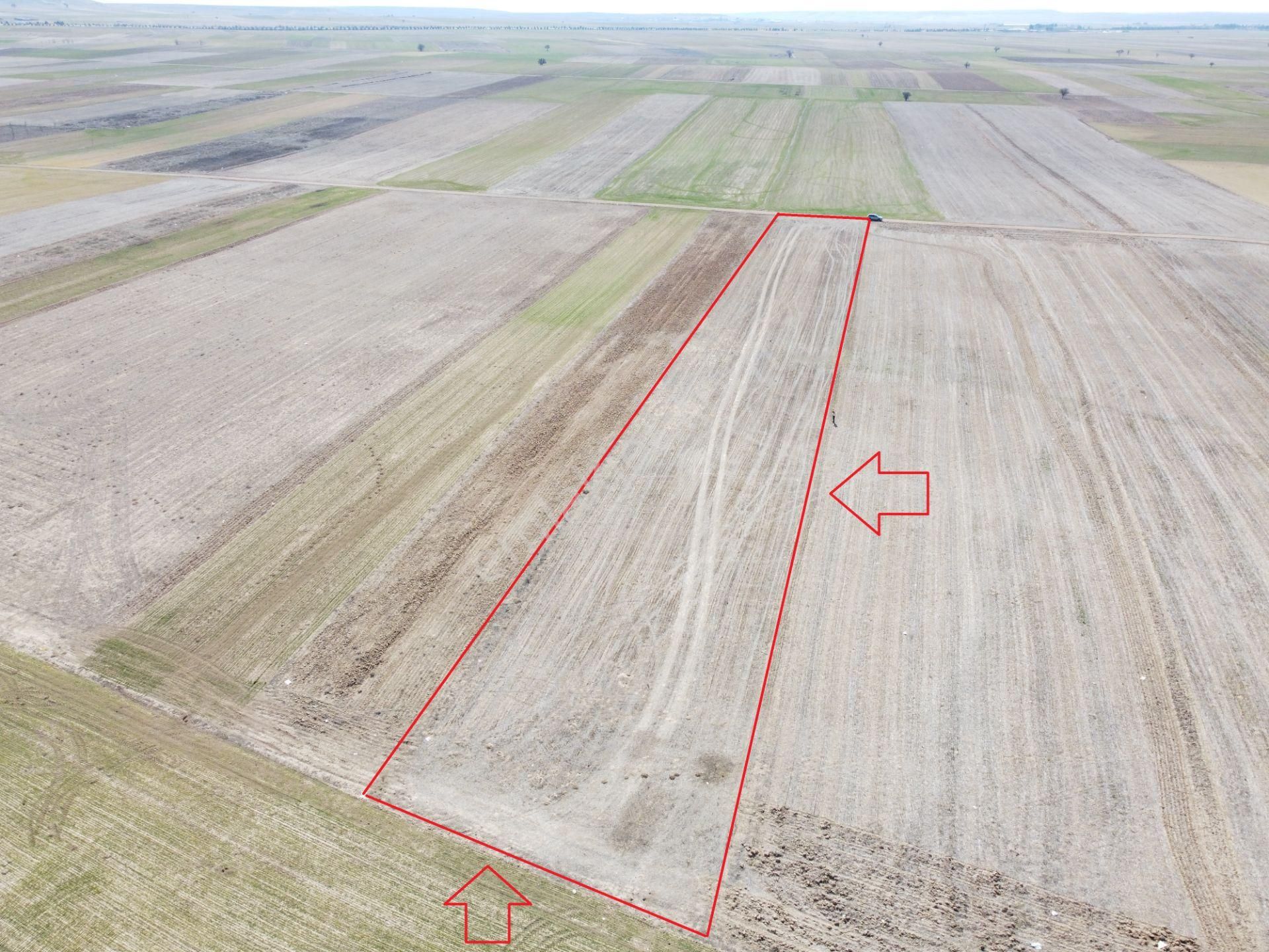 Afyonkarahisar Evciler Gökçek Köy Yakını 6461m2 Tek Tapu Tarla - Görsel 25