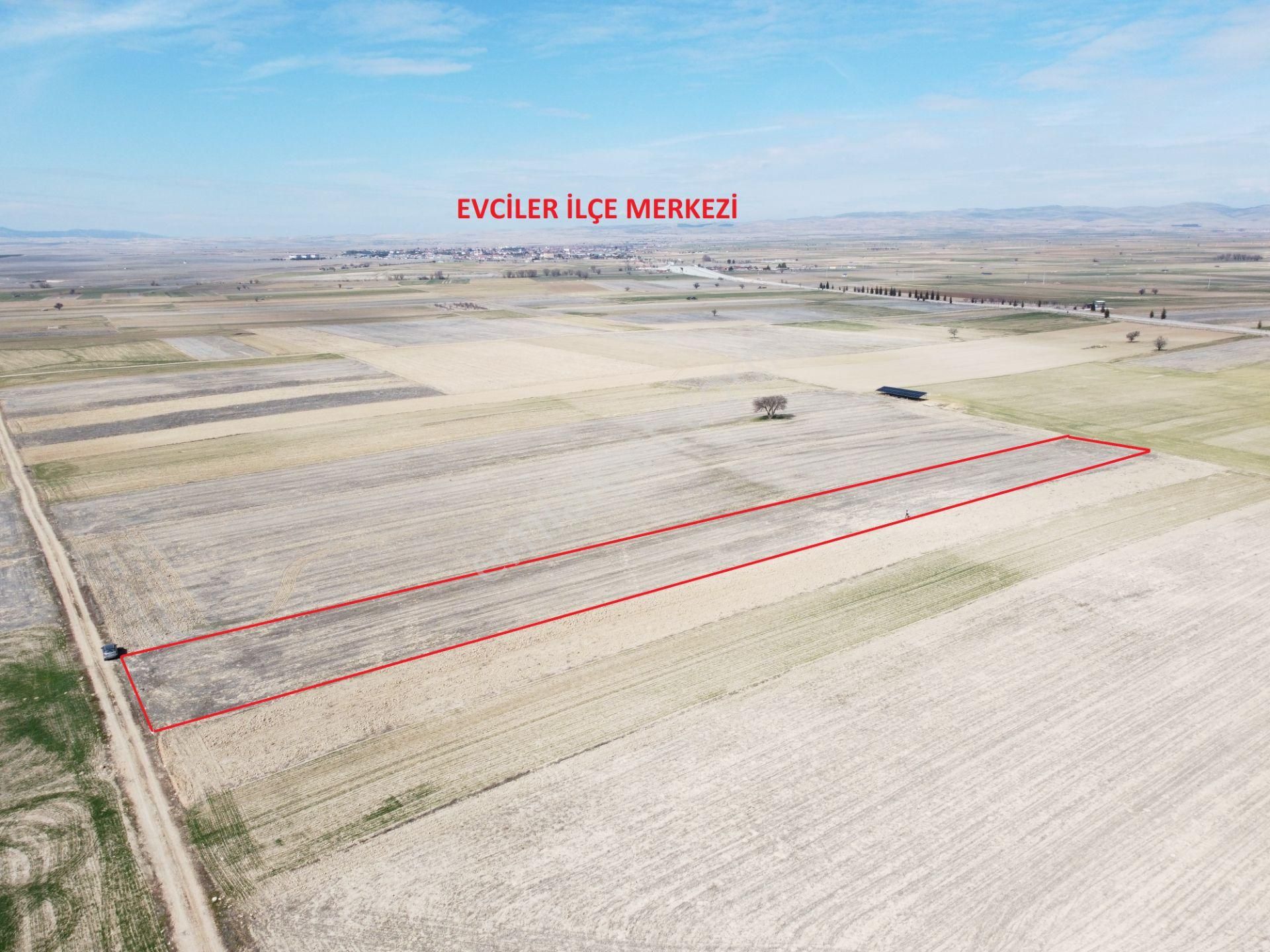 Afyonkarahisar Evciler Gökçek Köy Yakını 6461m2 Tek Tapu Tarla - Görsel 7